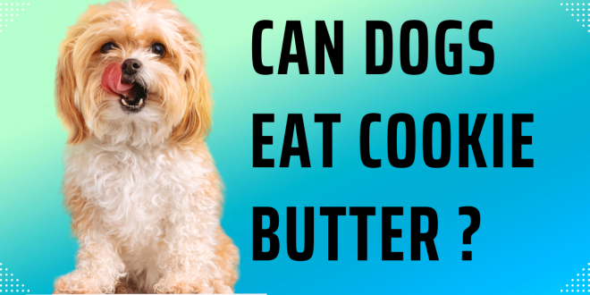 Can dogs eat cookie butter ?