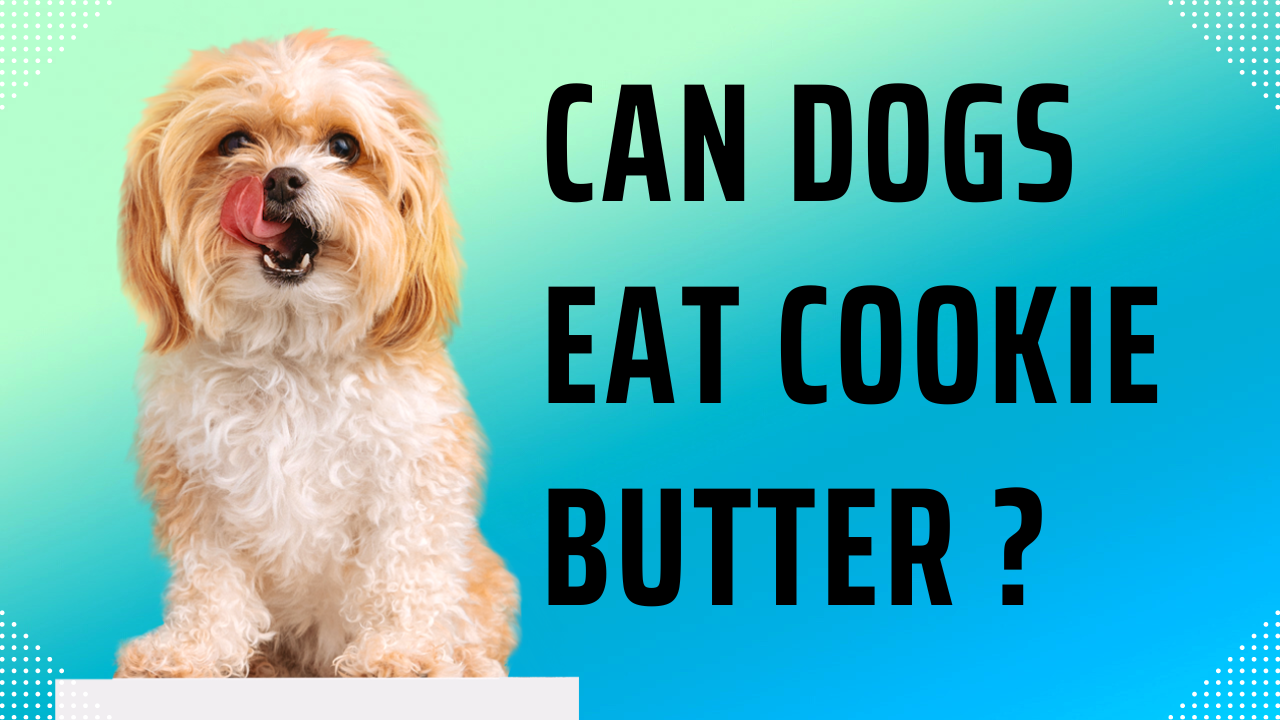 Can dogs eat cookie butter ?