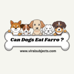 Can Dogs Eat Farro ? Health Concerns & Advice