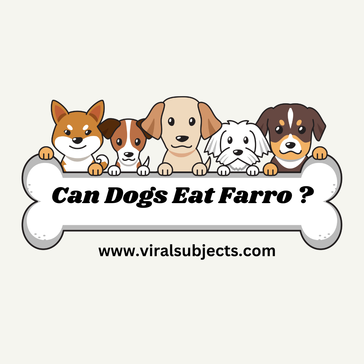 Can Dogs Eat Farro ? Health Concerns & Advice