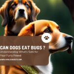 Can Dogs Eat Bugs