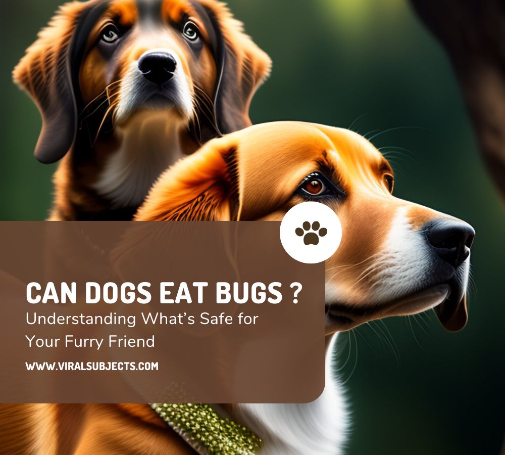 Can Dogs Eat Bugs