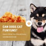 Can Dogs Eat Funyuns