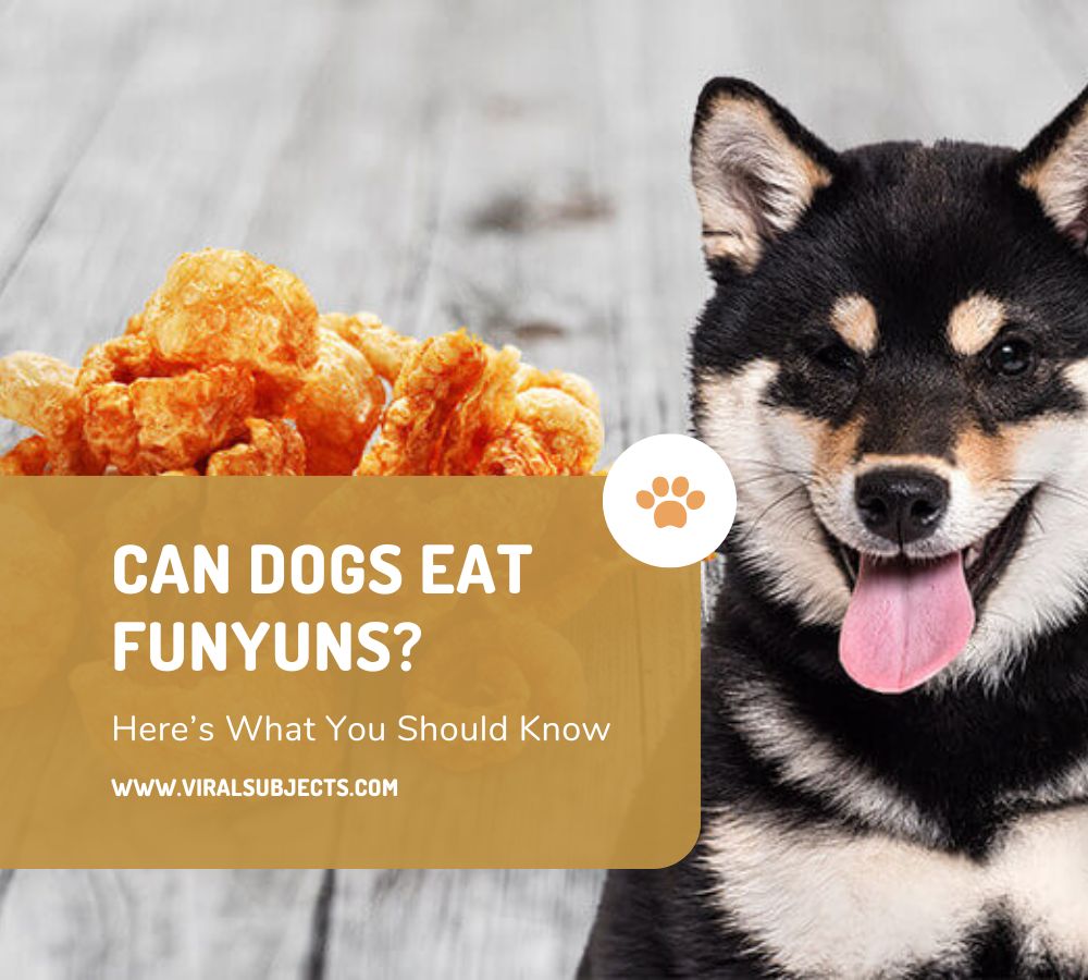 Can Dogs Eat Funyuns