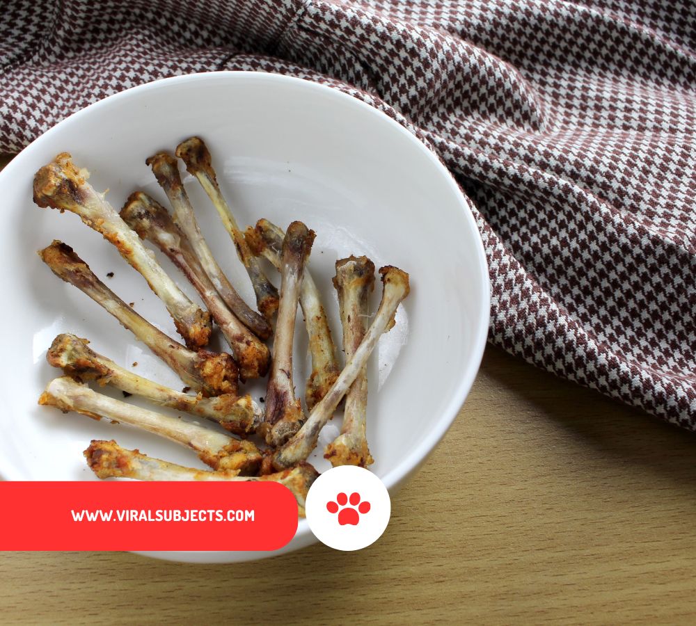 Can Dogs Eat Raw Chicken Bones