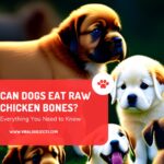 Can Dogs Eat Raw Chicken Bones