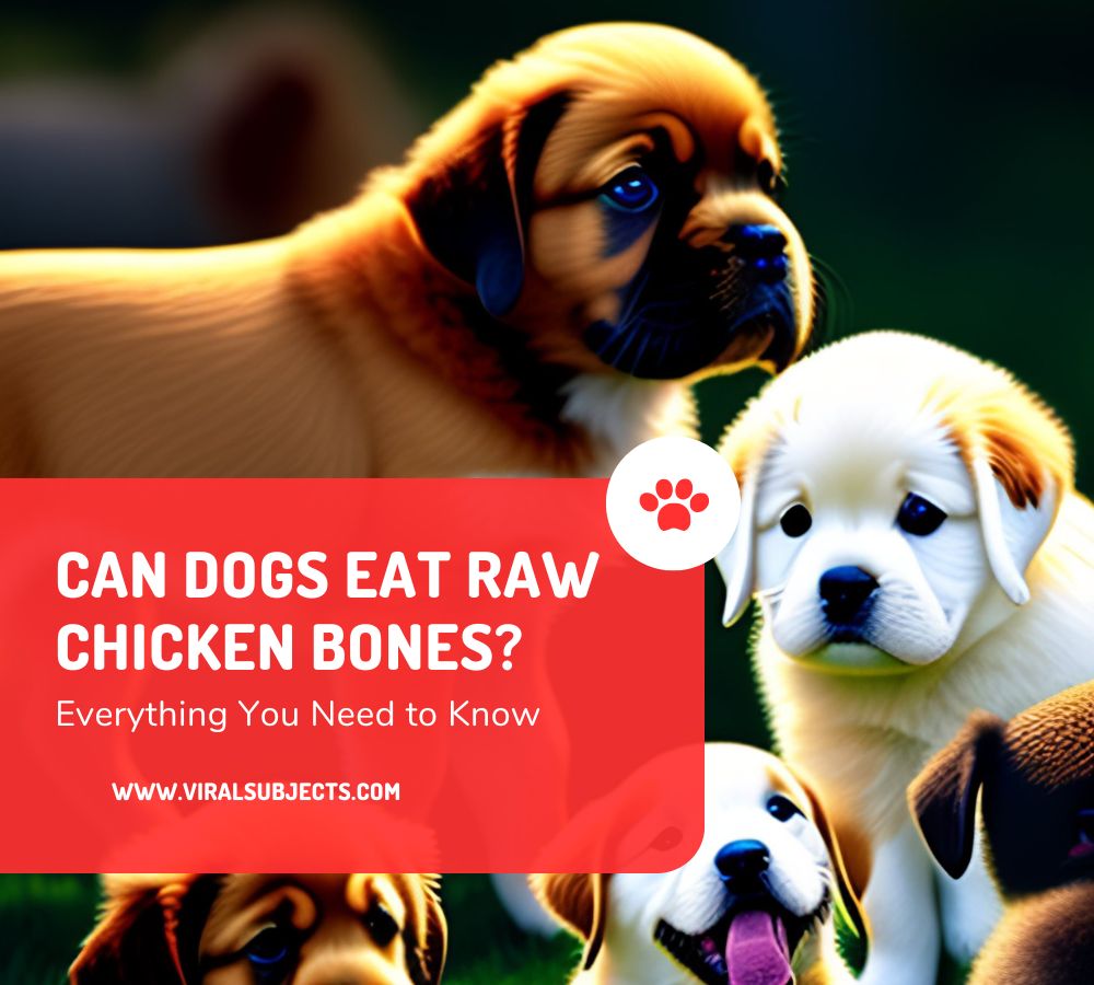 Can Dogs Eat Raw Chicken Bones