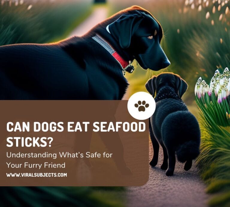 Vivid Can Dogs Eat Seafood Sticks Capture Concept Vivid Can Dogs Eat Seafood Sticks Capture Concept