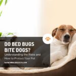 Do Bed Bugs Bite Dogs