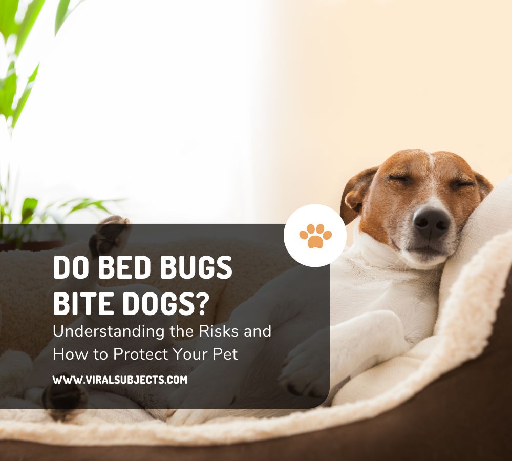 Do Bed Bugs Bite Dogs