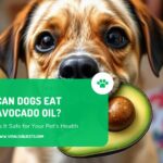 Can Dogs Eat Avocado Oil