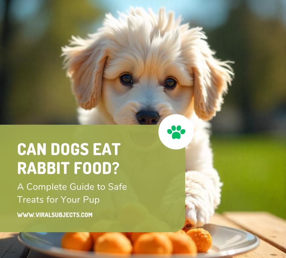 Can Dogs Eat Rabbit Food