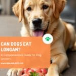 Can Dogs Eat Longan?