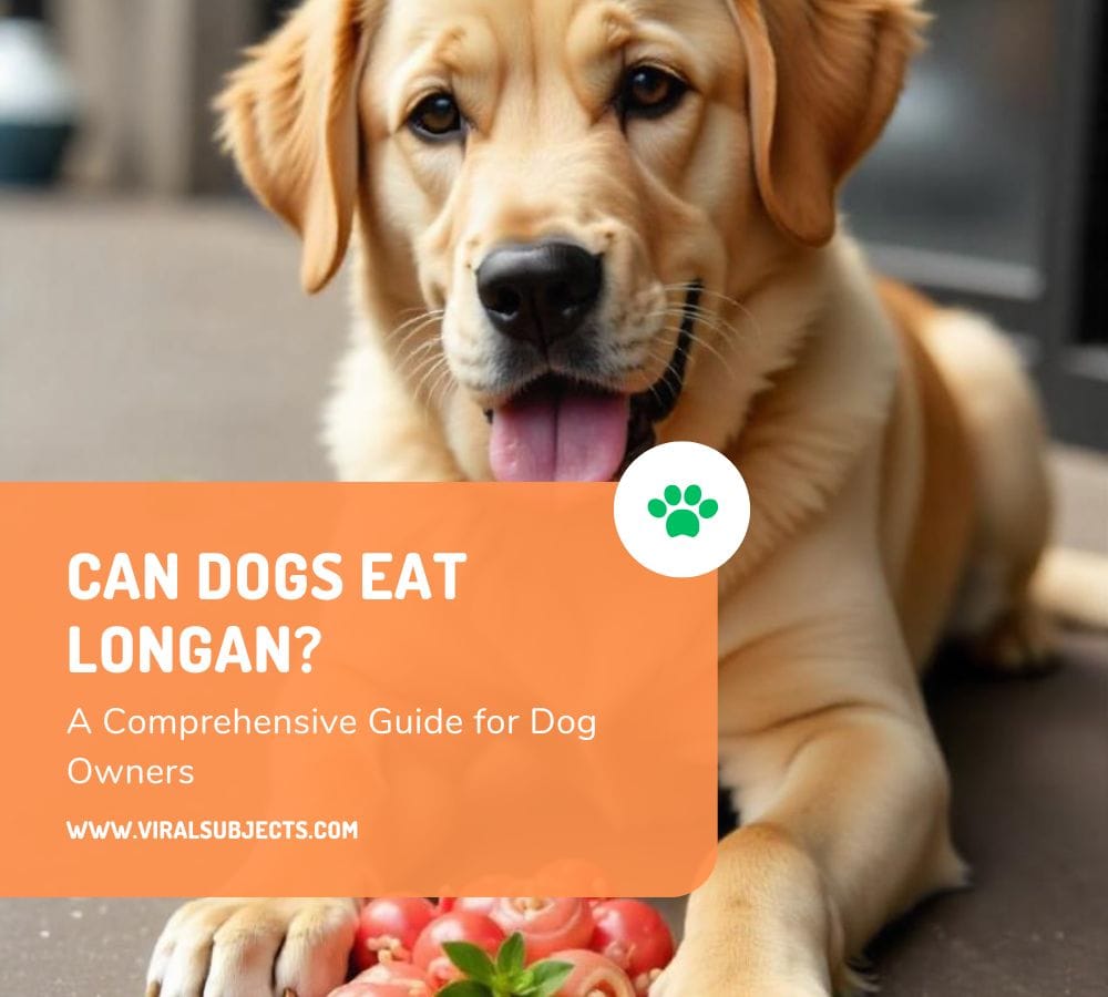 Can Dogs Eat Longan?