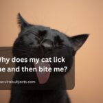 Why does my cat lick me and then bite me