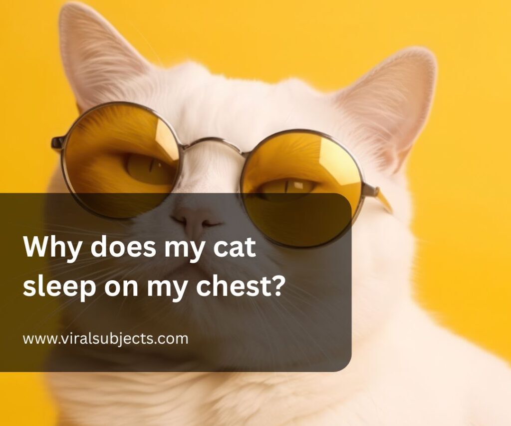 Why does my cat sleep on my chest